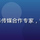 国产传媒商务总监王峰，品牌营销与传媒合作专家，曾服务超过500家国内外知名品牌