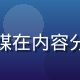 某影视制作公司制片人陈先生，与国产传媒在内容分发领域深度合作，内容触达效率大幅提升